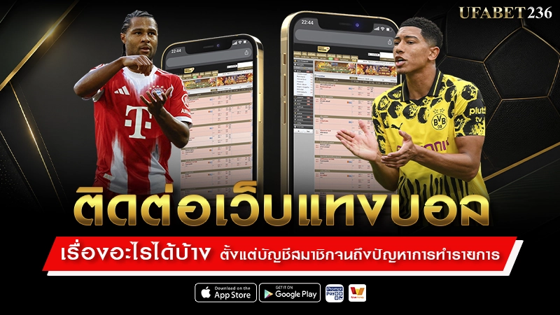 ติดต่อเว็บแทงบอลเรื่องอะไรได้บ้าง
